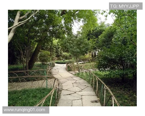 足球明星内瓦尔的女友揭秘她的生活与爱情故事引发热议