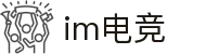 IM(股份有限公司)电竞-电子竞技平台
